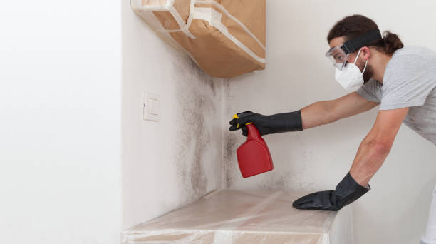 Professional Basement Mold Remediation technician working in Jefferson, GA