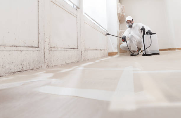 24/7 Emergency Basement Mold Remediation experts in Jefferson, GA