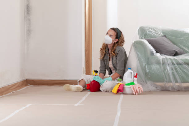 Reliable Basement Mold Remediation contractor in Jefferson, GA by WQB Mold Removal